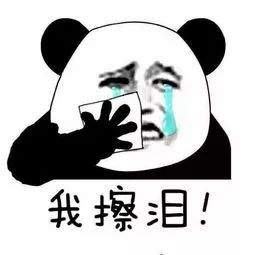 青岛百人上当被骗2亿,青岛微信群诈骗新闻