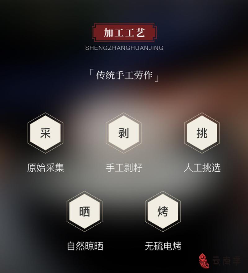 天然燕窝营养美味你值得拥有,植物燕窝就是雪燕你吃过吗