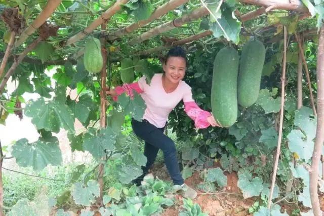 乡村网红一个月能挣多少钱,农村大网红能赚多少钱