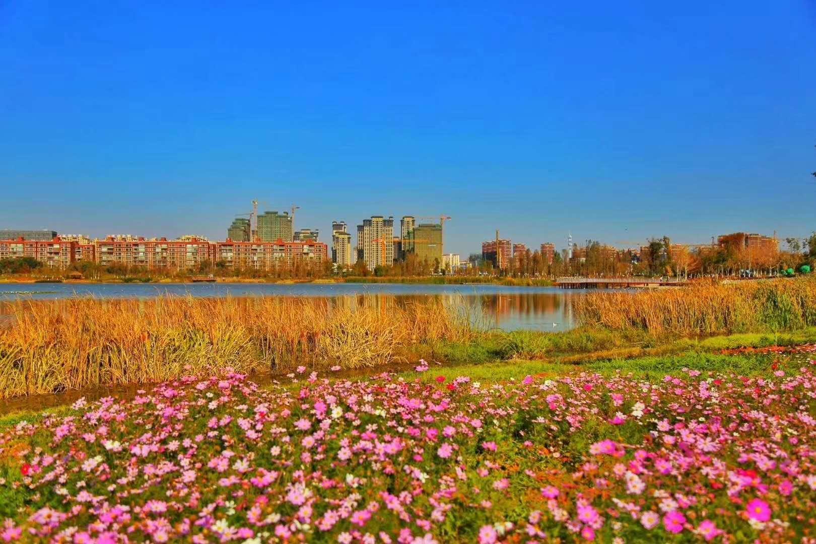 构筑美好生活俊发推动教育配套资源升级