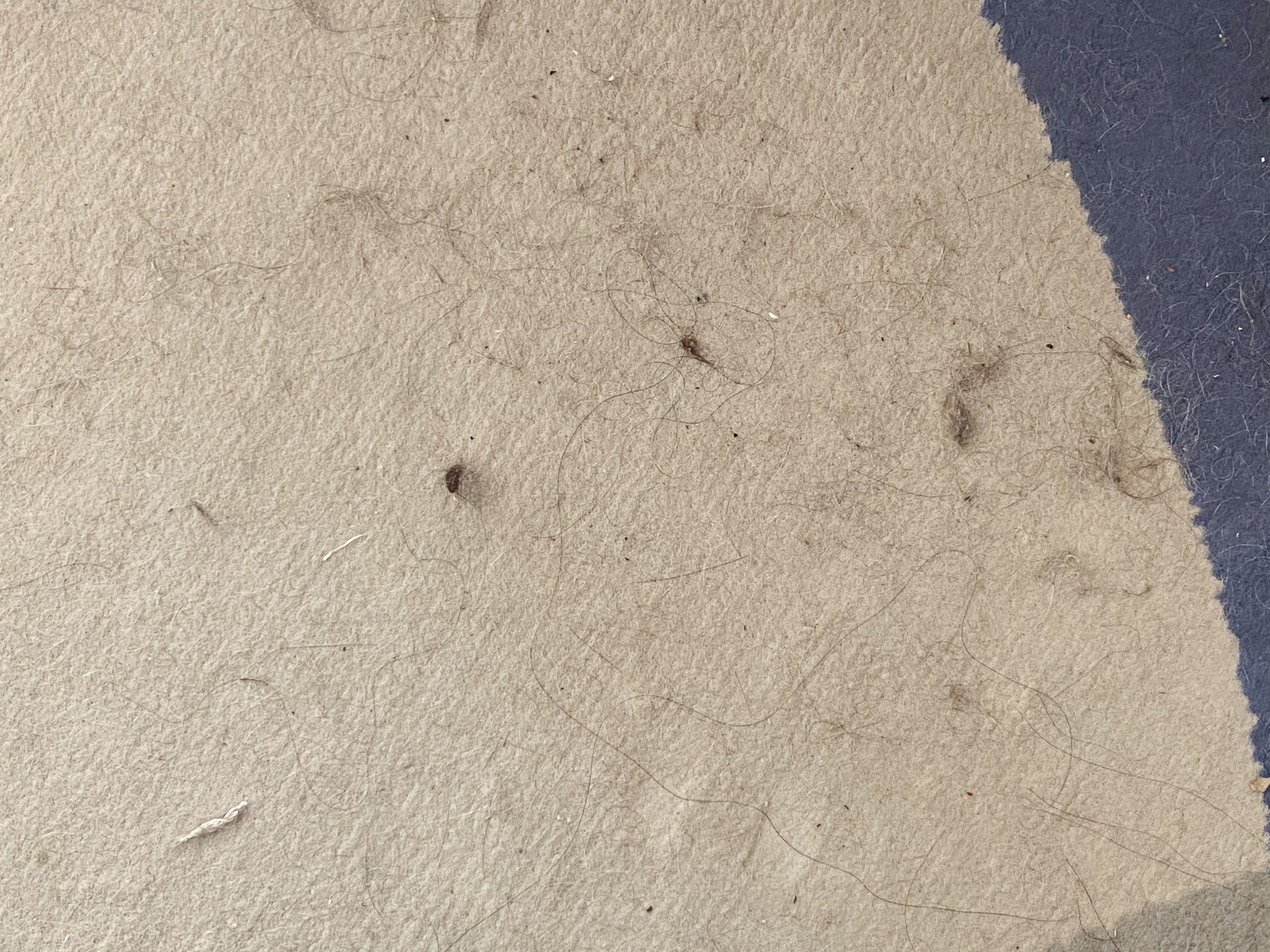 一人轻松扫全屋，娇小女生最爱用？顺造轻量手持吸尘器L1体验