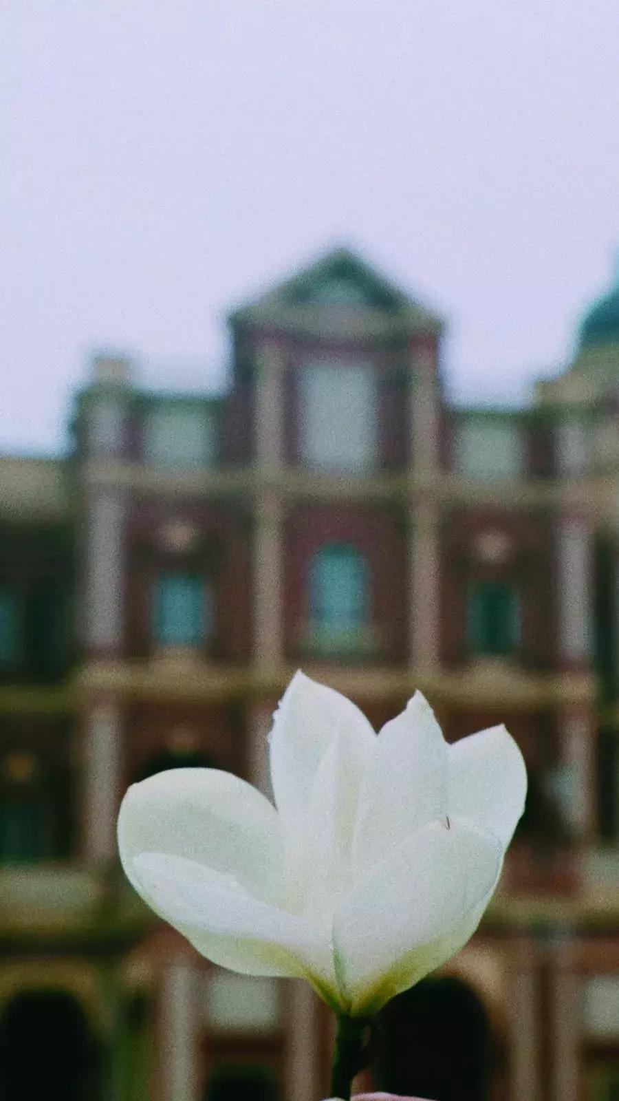 天蓝色系手机壁纸,今天又是元气满满的一天手机壁纸