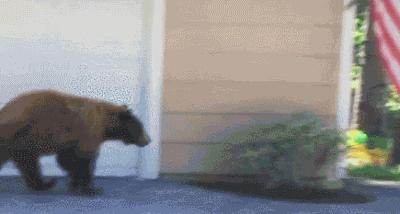 搞笑GIF,幽默内涵段子：我是有原则的！