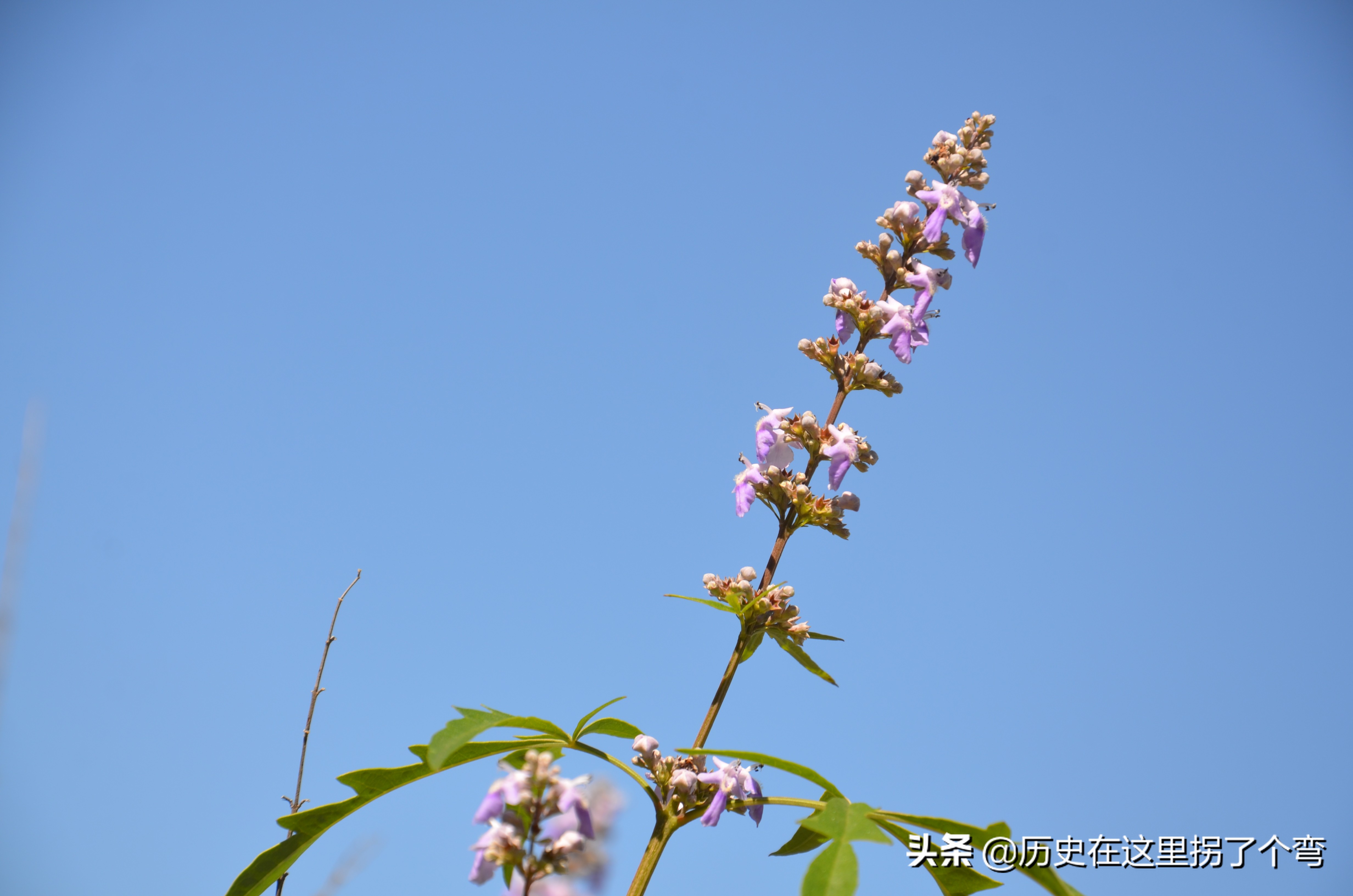 农耕文化一览表,农耕文明源头之十三