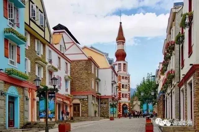 五朵金花组团出战,五朵金花齐聚的时候