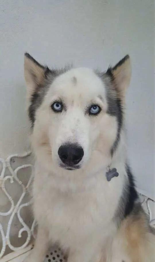 买东西深情的段子,买东西的小段子