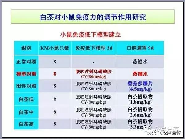刘仲华白茶功效,刘仲华谈福鼎白茶