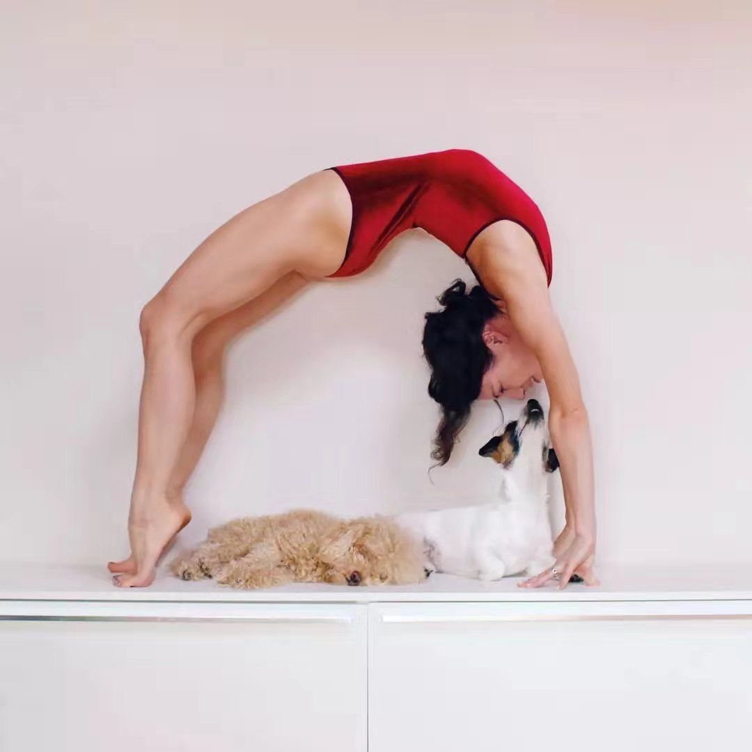 瑜伽桥式跟练,瑜伽里怎样做桥式才是正确的