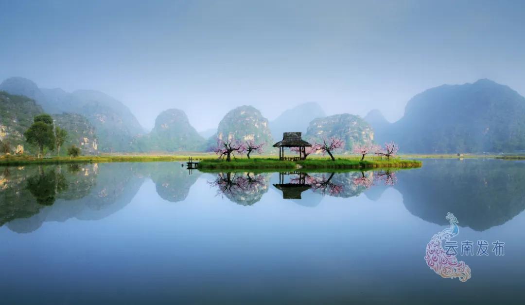 官宣免费全本小说,影后和大总裁官宣了全文免费阅读