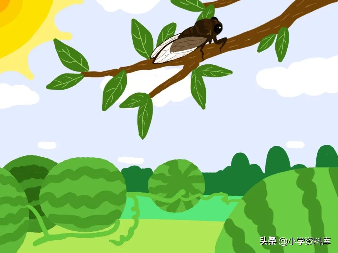 写夏天的好词好句好段简短,描写夏天的好句作文素材