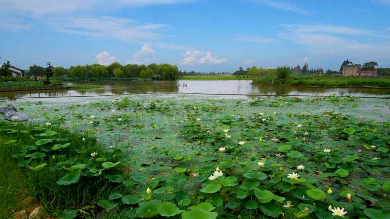 鹧鸪天-碧云花园十里水乡