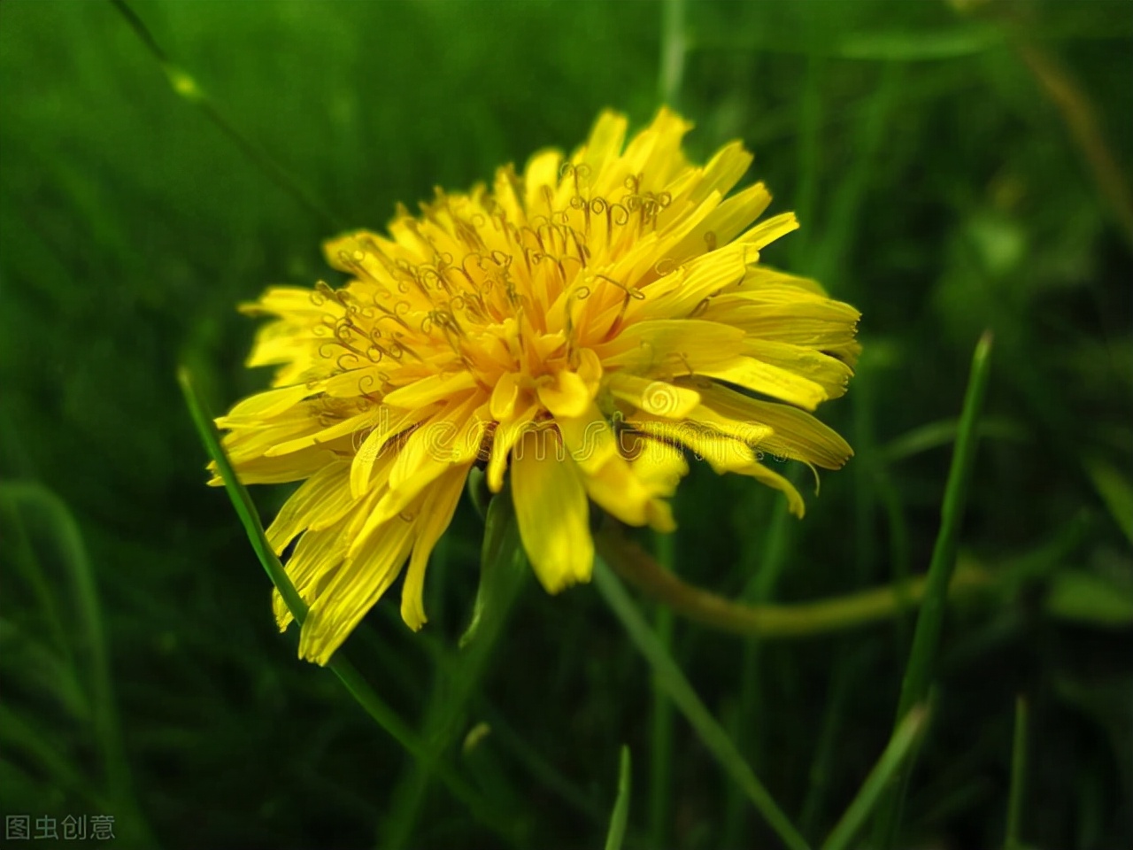 适合发朋友圈的经典文案句子配图,一些适合发朋友圈的简短文案