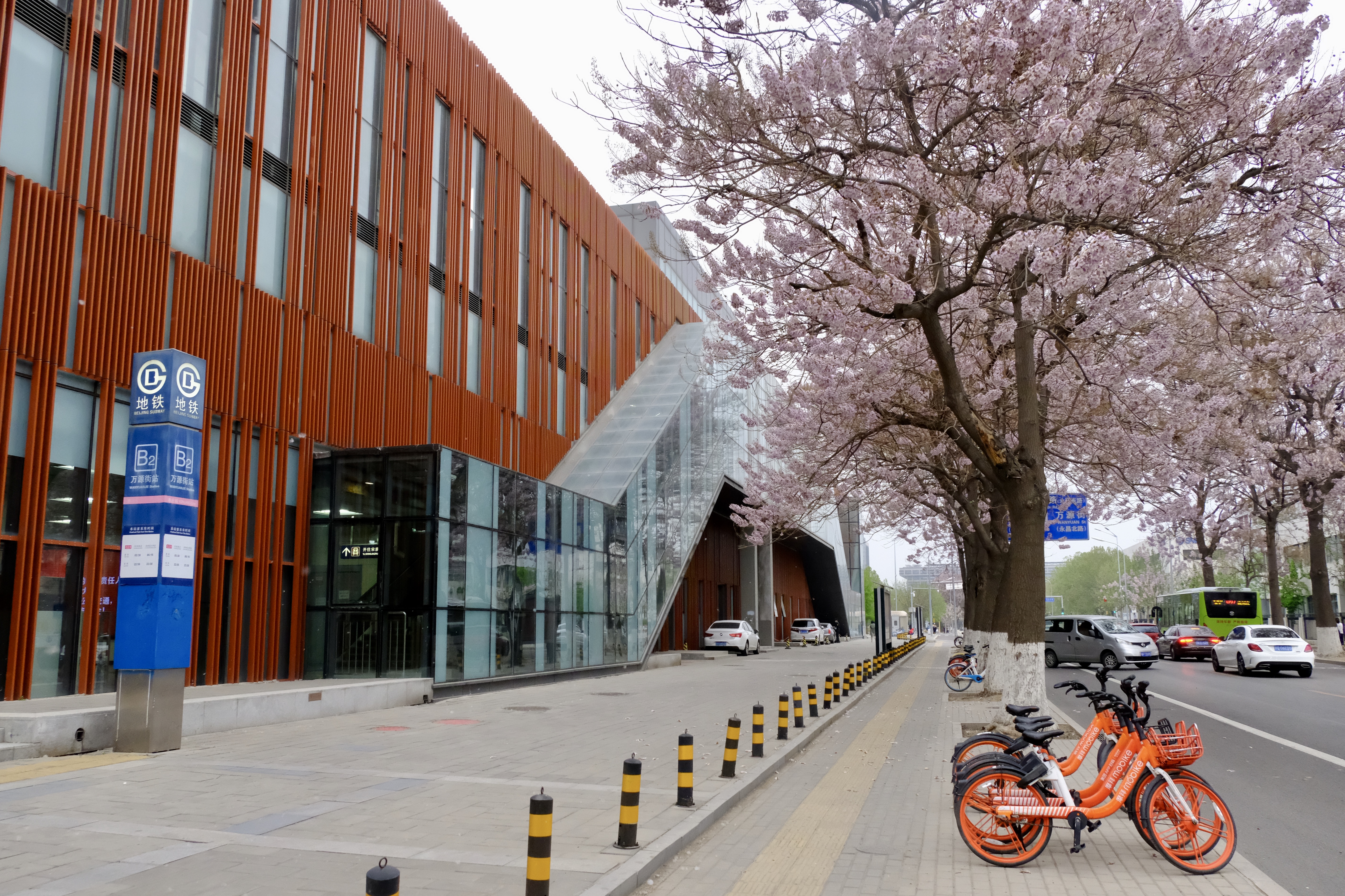 开往地铁上的春天,开往春天的地铁邂逅京城的花开