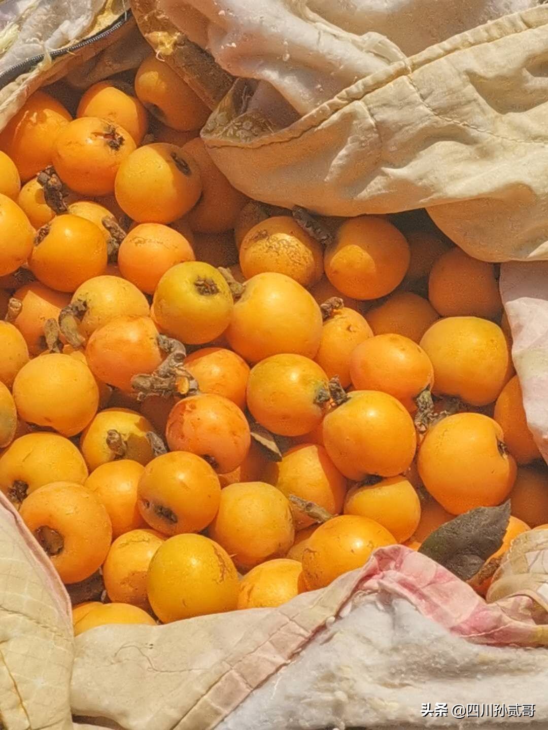 老村长农村电商,老村长农副产品直播间