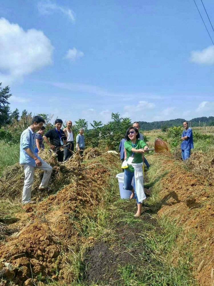 种地用的自制酵素,酵素种地效果怎么样