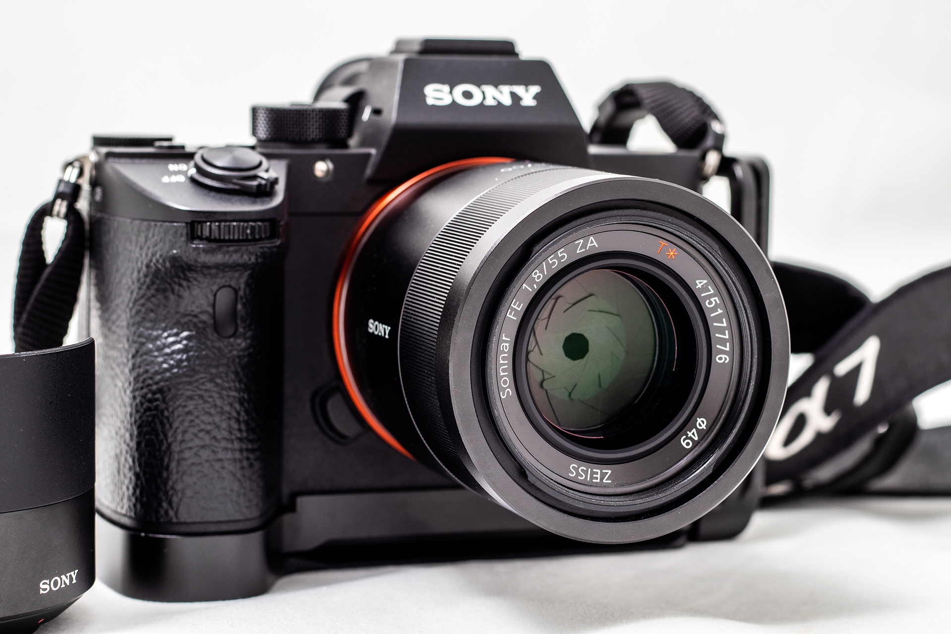 Sonnar（索纳）眼中的猫——索尼SonnarT*FE55mmF1.8ZA实拍体验