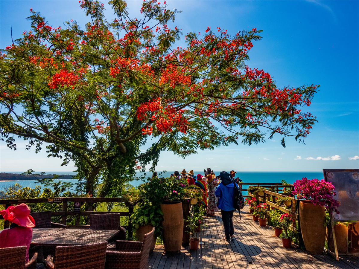 广西北海涠洲岛的火山岛介绍,涠洲岛是中国最年轻的火山岛吗