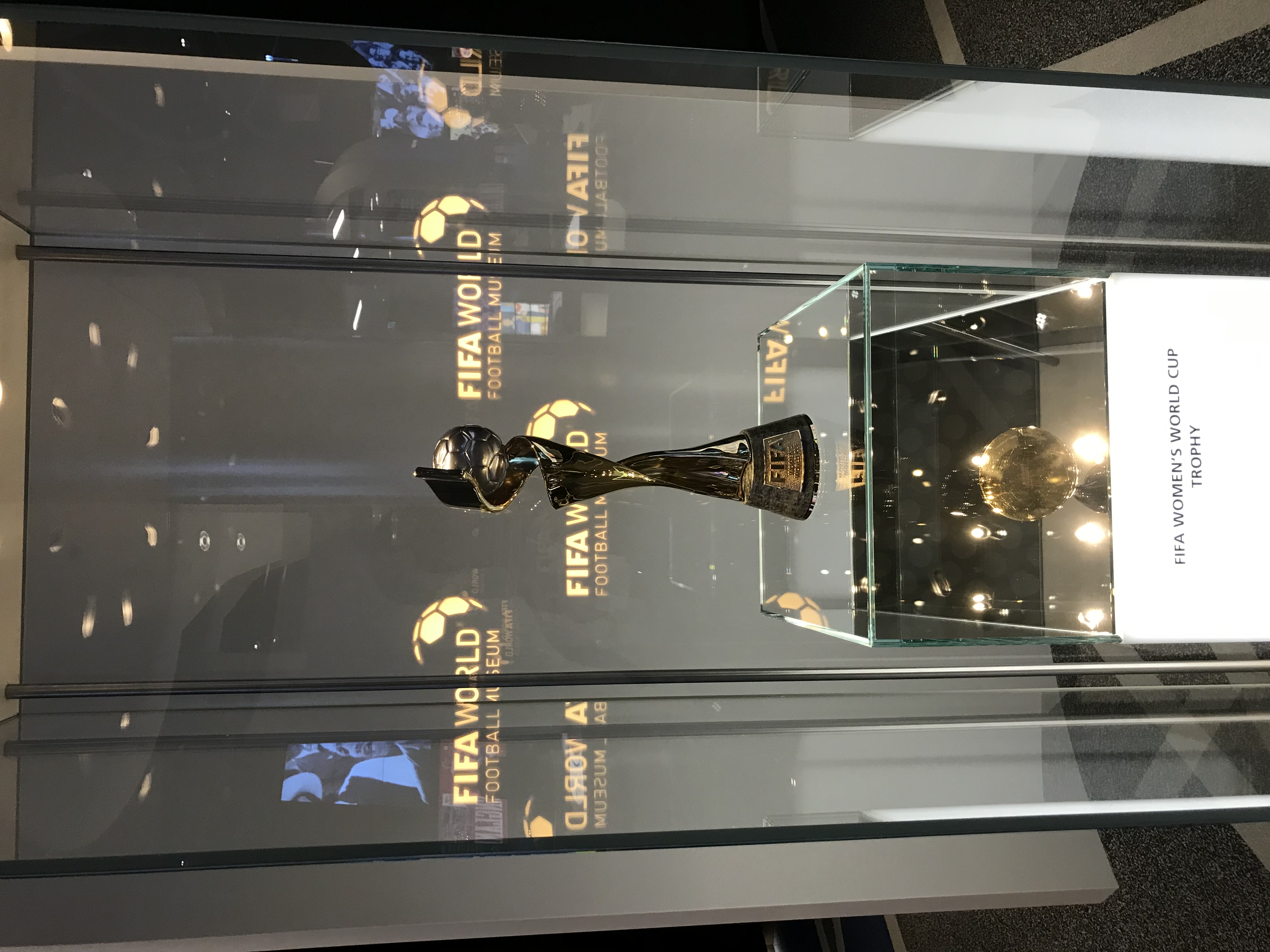 瑞士苏黎世博物馆大力神杯,苏黎世博物馆大力神杯