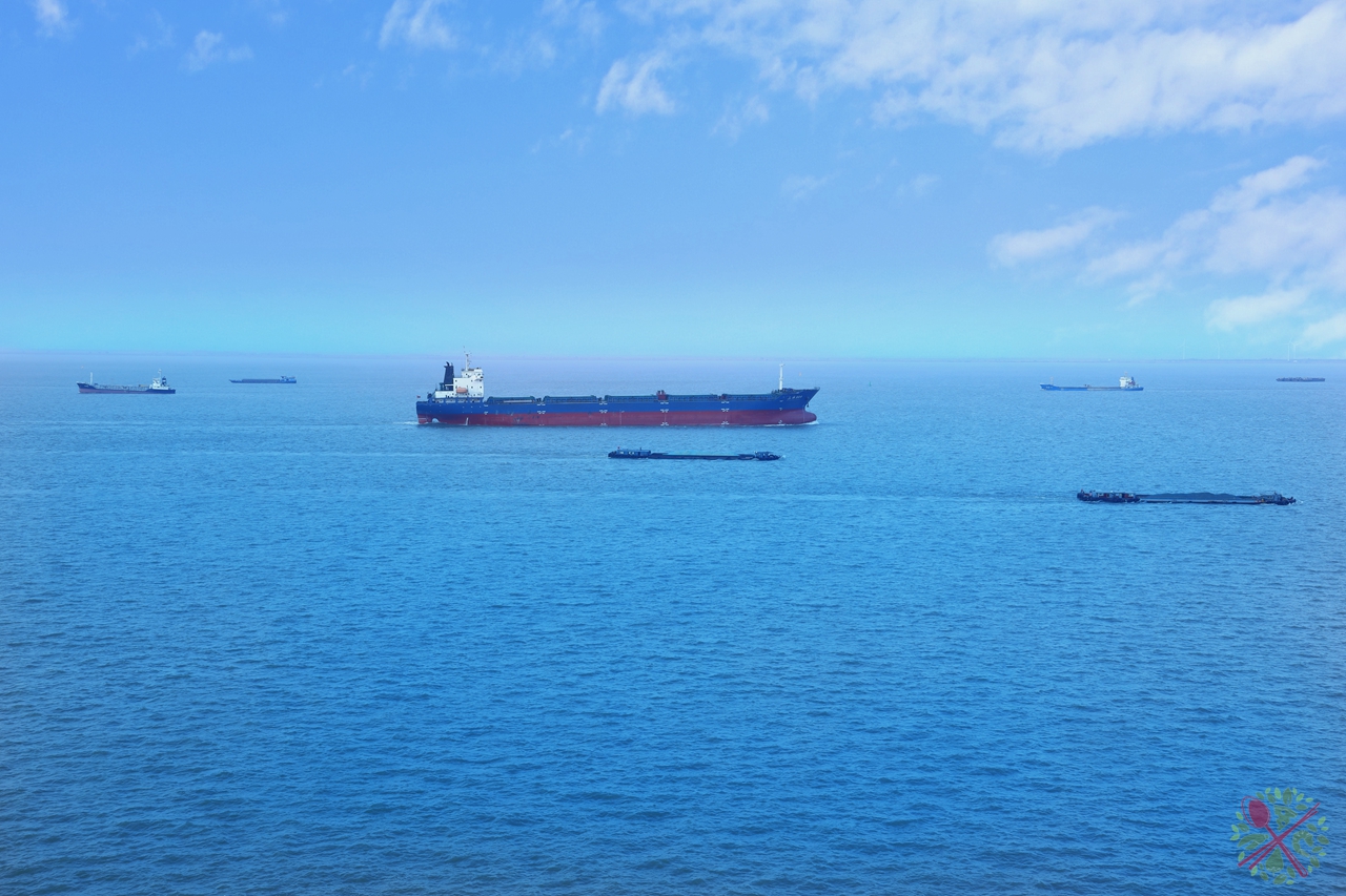 邮轮旅行哪里最好玩,广州南沙邮轮母港附近打卡点