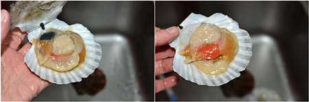 蒜蓉粉丝蒸扇贝砂锅,蒜蓉粉丝蒸扇贝寓意