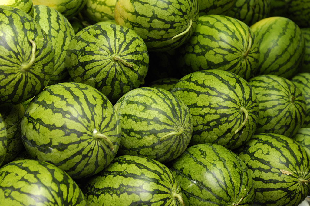 瓜类作物病毒病的发生与防治,严防瓜类作物爆发病毒