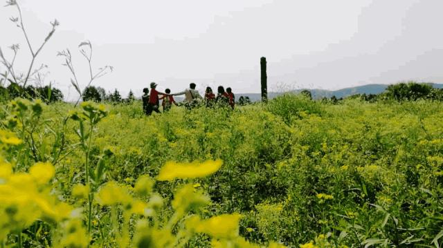 10个闺蜜沿着中俄罗斯边境自驾游,10个闺蜜结伴游中苏边境线