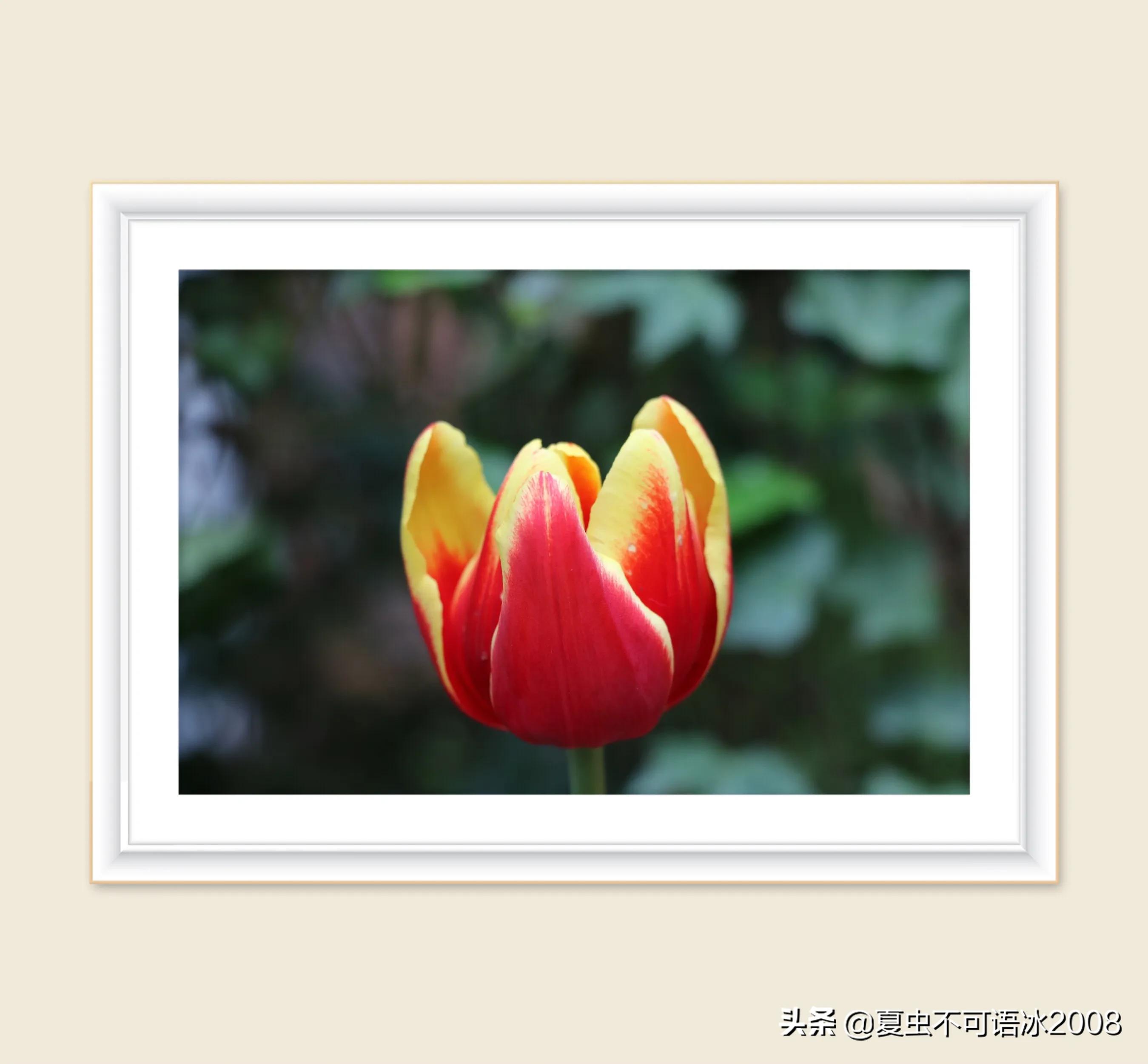 微课在物理教学中的应用,微课在物理教学中的应用论文