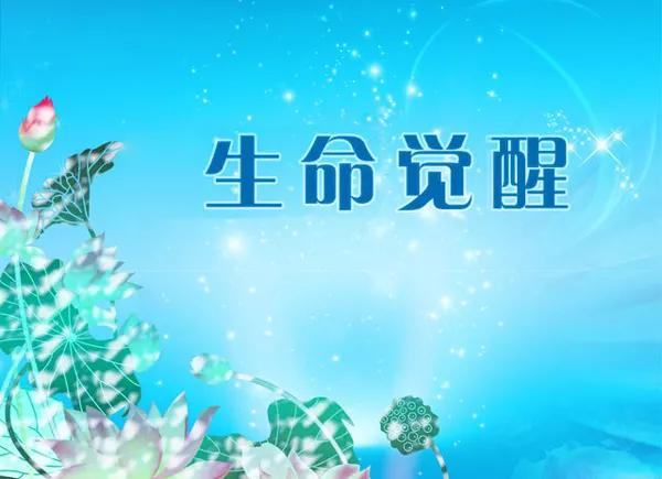 底层人物如何成功逆袭，必须突破自我，涅槃重生的“六*法大**宝”