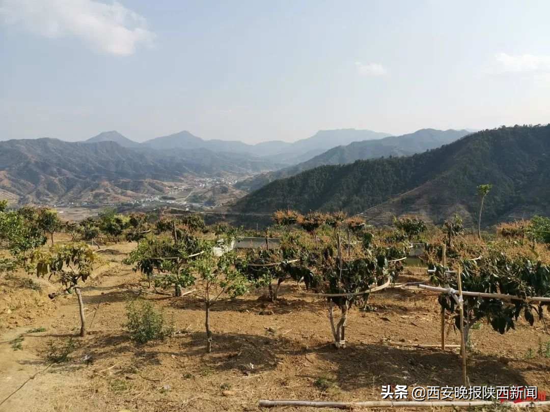 村民自费修山路被罚四万元,村民自费修山路被罚4万后续结果