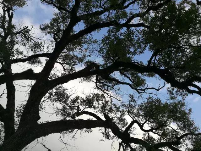 厦门同安周末踏青好去处,厦门岛内踏青景点大全