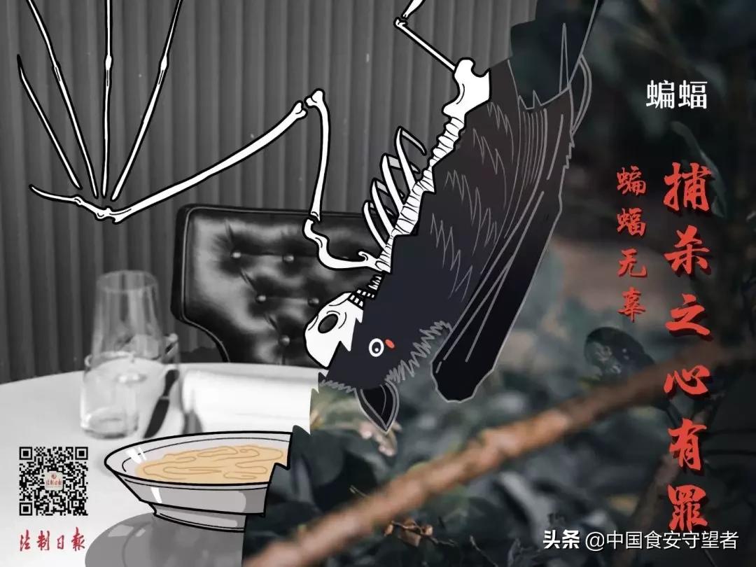 野生动物名录2021,最新三有野生动物名录