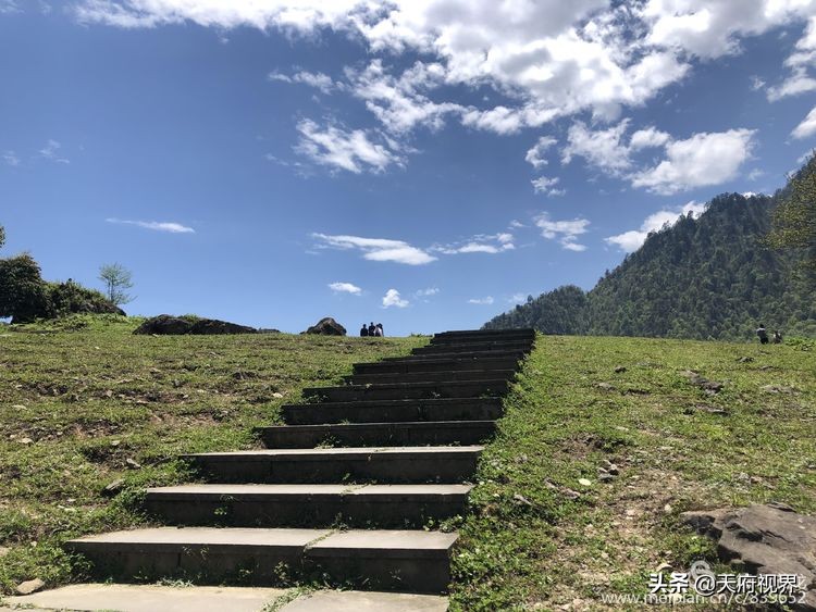 四川黑竹沟之谜,四川黑竹沟探险之旅