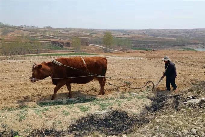 二十四节气歌大全完整版儿歌,二十四节气歌二年级下册儿歌