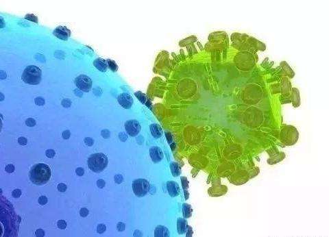 产房小猪咳喘，大概率是蓝耳，养殖户如何诊断并针对性防控呢？