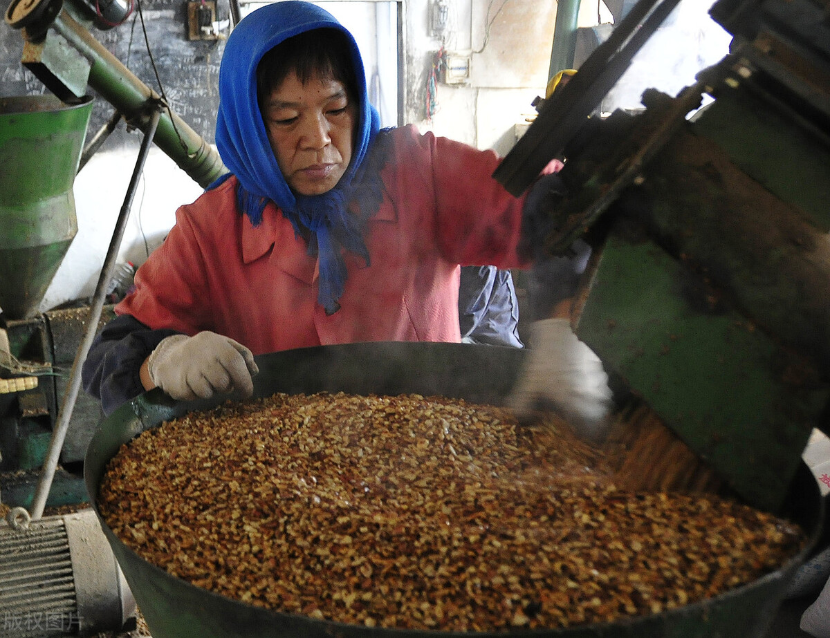 在城里开个榨油作坊能挣到钱吗,自己创业开个小型榨油坊