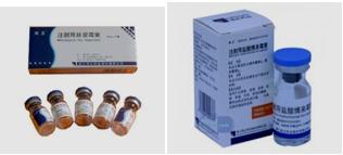 抗肿瘤药，直接影响DNA结构和功能的药物