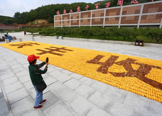 好戏连台！凤城“十节”正精彩……