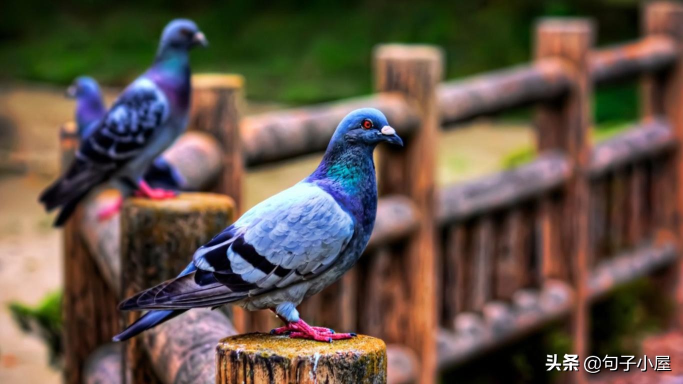 100个成语及历史人物,国人需要知晓的100个历史成语