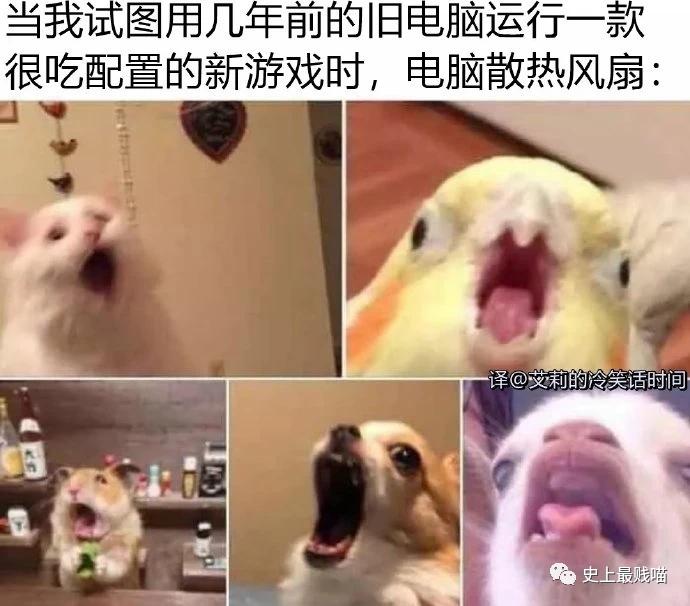 第一次看到把抖m说的这么清新脱俗的...实在太形象了哈哈哈哈哈！