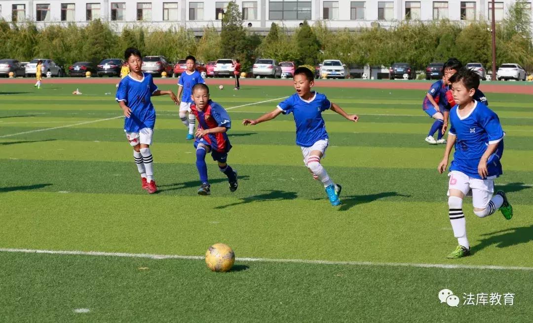 青少年足球联赛沈阳,2024沈阳市中小学足球联赛