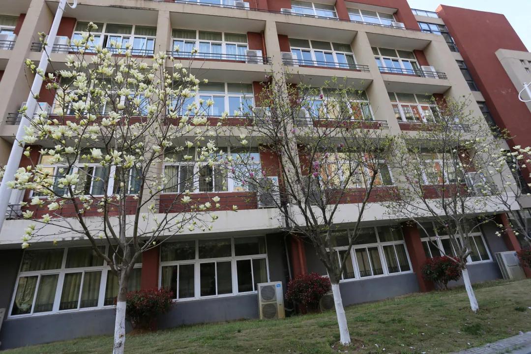 碧桂园山湖城学校开学,碧桂园西湖小学开学