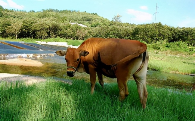 得到科学证实的有趣冷知识,30个令你脑洞大开的怪异冷知识