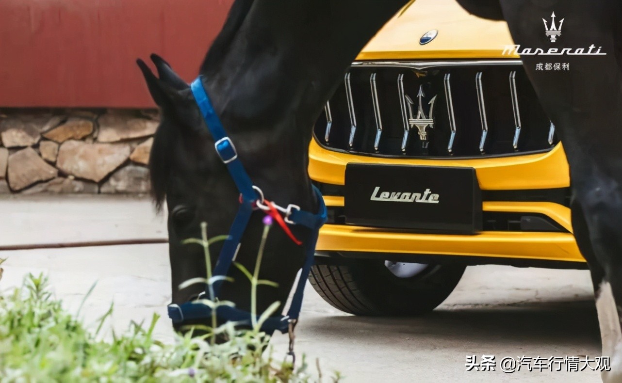 生而*界无**FUN肆趣浪|成都保利玛莎拉蒂邂逅豪情夏日
