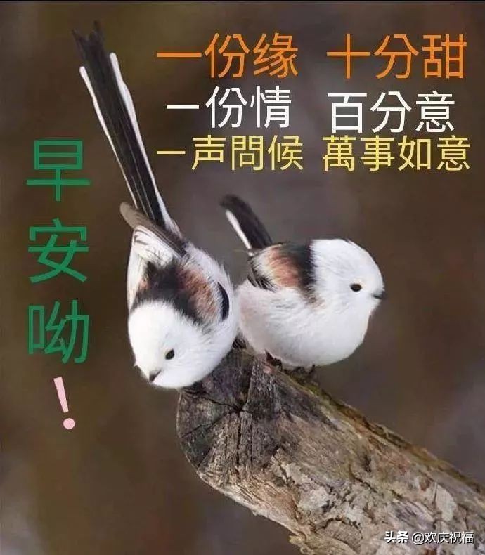 清晨早安问候语暖心表情图片大全,周末早安最暖心的祝福问候