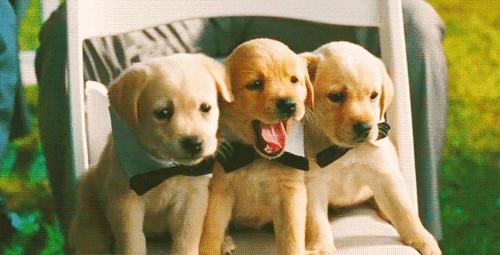 睡了很久还是很困？睡眠专家提醒：小心这6种常见病，很多人都有