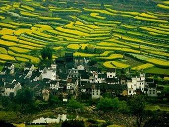 四川省成都市新都区龙桥镇,四川省成都市新都区橄榄郡