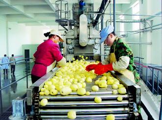 中国土豆之乡图片,中国土豆第一村