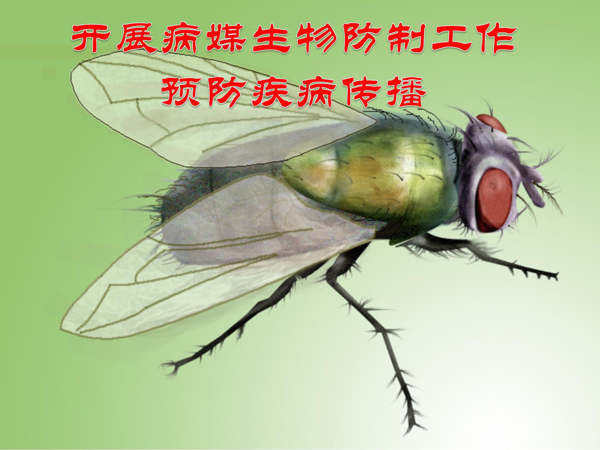 广州四害消杀资质证年检,虫害消杀防治需要什么资质