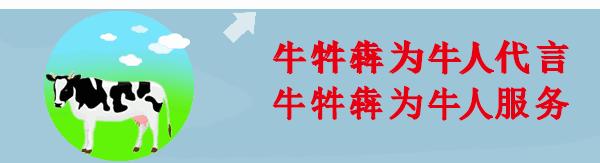 奶牛产后管理要求,奶牛产后护理需要做什么