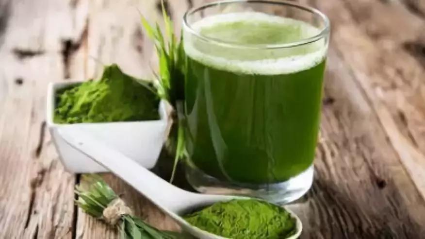 大麦青汁真的可以瘦身吗,大麦若叶青汁真的有减肥功效吗